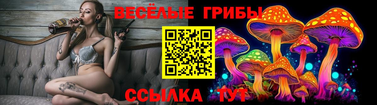 Галлюциногенные грибы Psilocybe  Вход с VPN  Шелехов 