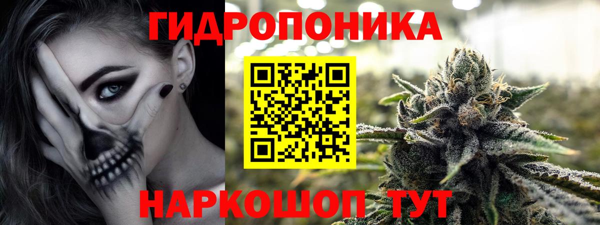 Конопля Bruce Banner Шелехов